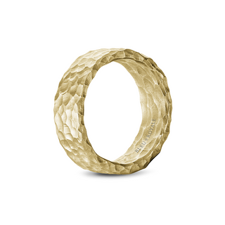 Bleu Royale Men's Wedding Band RYL-173Y8