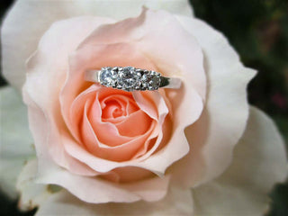 Halo Diamond Ring on a Pink Rose