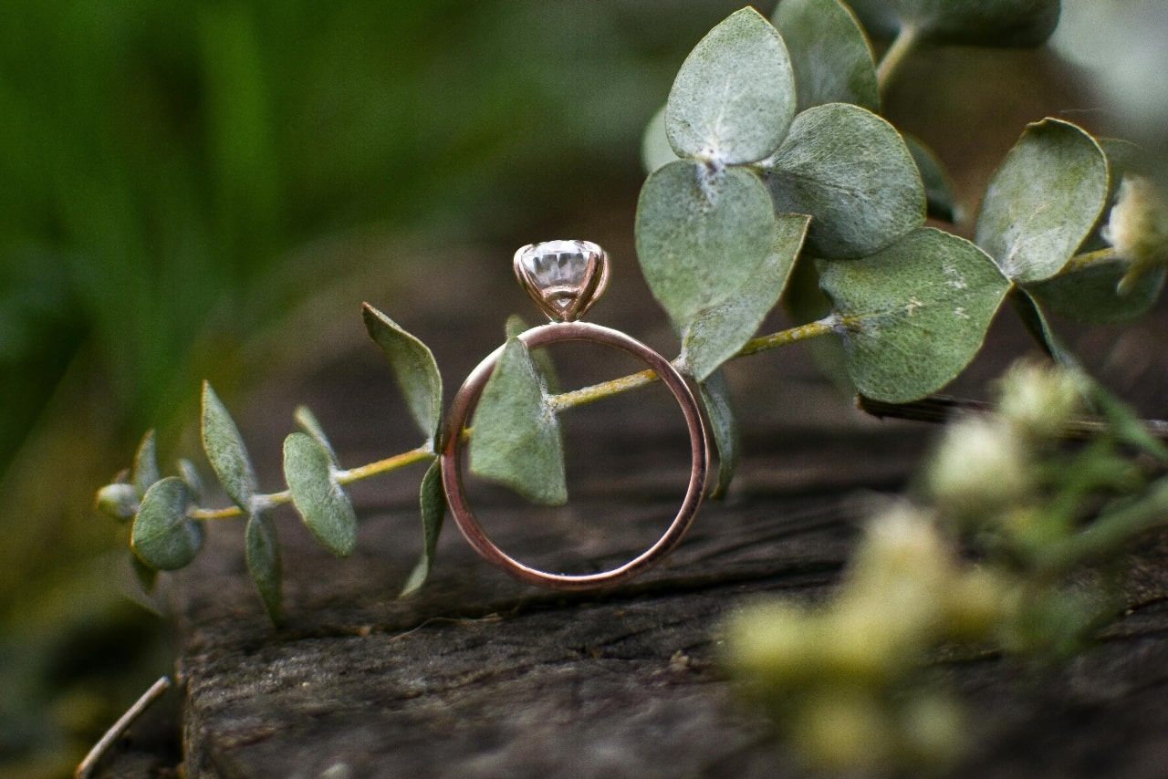 an engagement ring sing on a piece of wood surrounded by greenery
