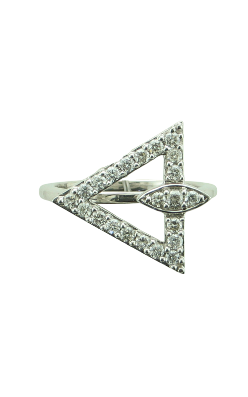22=.50TW SI H 14KW RING